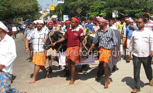 Kambala protes...